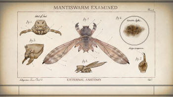 The Outer Worlds Loading Screen Art